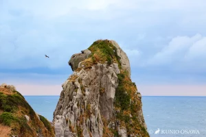 曇り空の猿岩-大沢邦生-Kunio.Osawa