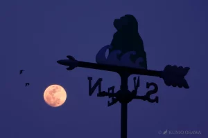 壱岐島のシンボル猿岩と月-大沢邦生-Kunio.Osawa